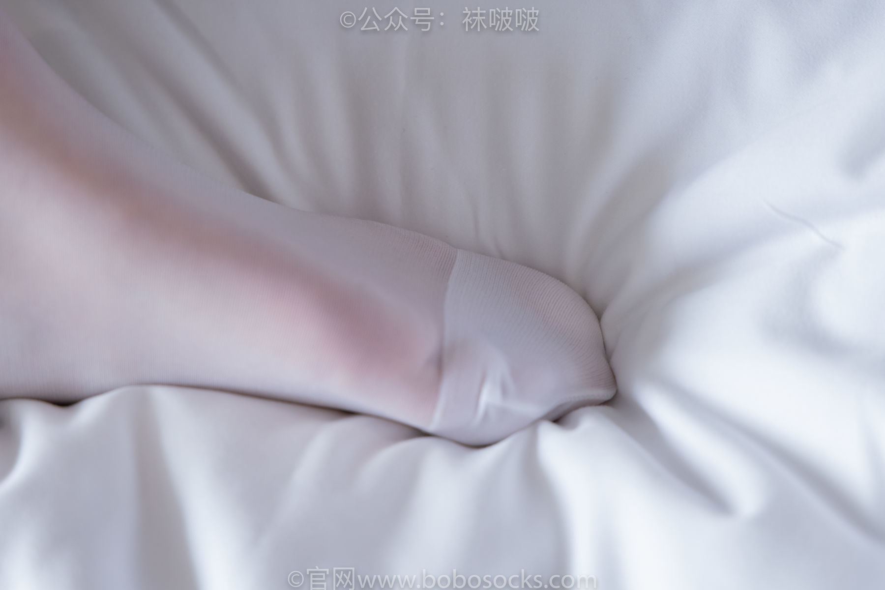 图片[121]-BoBoSocks袜啵啵 积分限定作品004 熊熊-板鞋、白棉袜、白丝[139P]-六色网