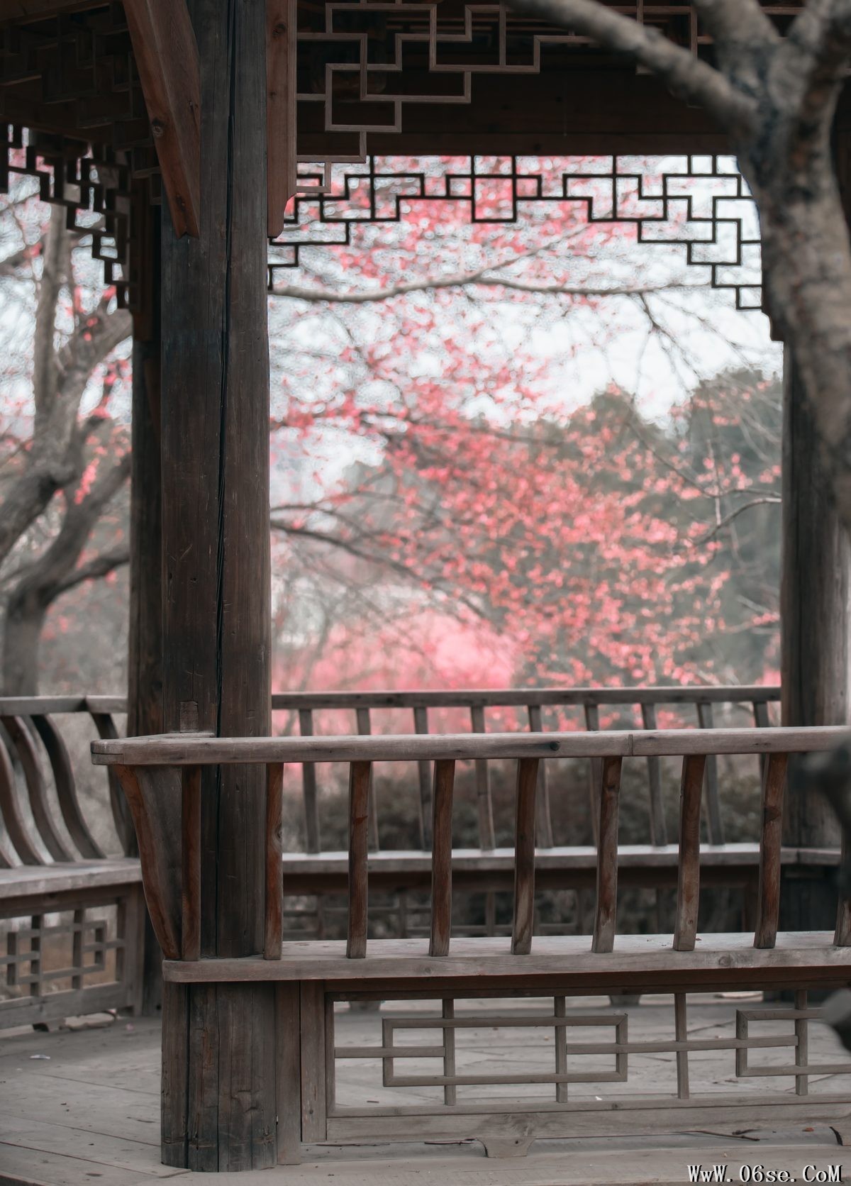 图片[38]-YiTuYu艺图语 Vol.3738 Yan Ru Yu[45P]-六色网