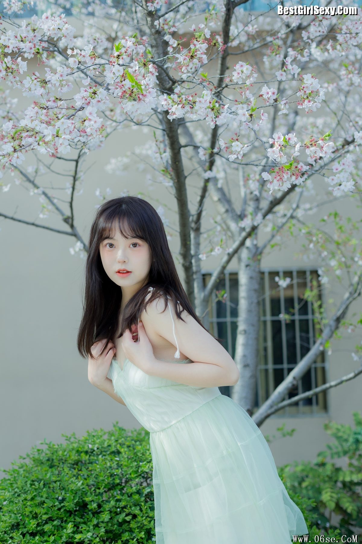 图片[20]-YiTuYu艺图语 Vol.4075 Ha Ji Ma Hua[34P]-六色网