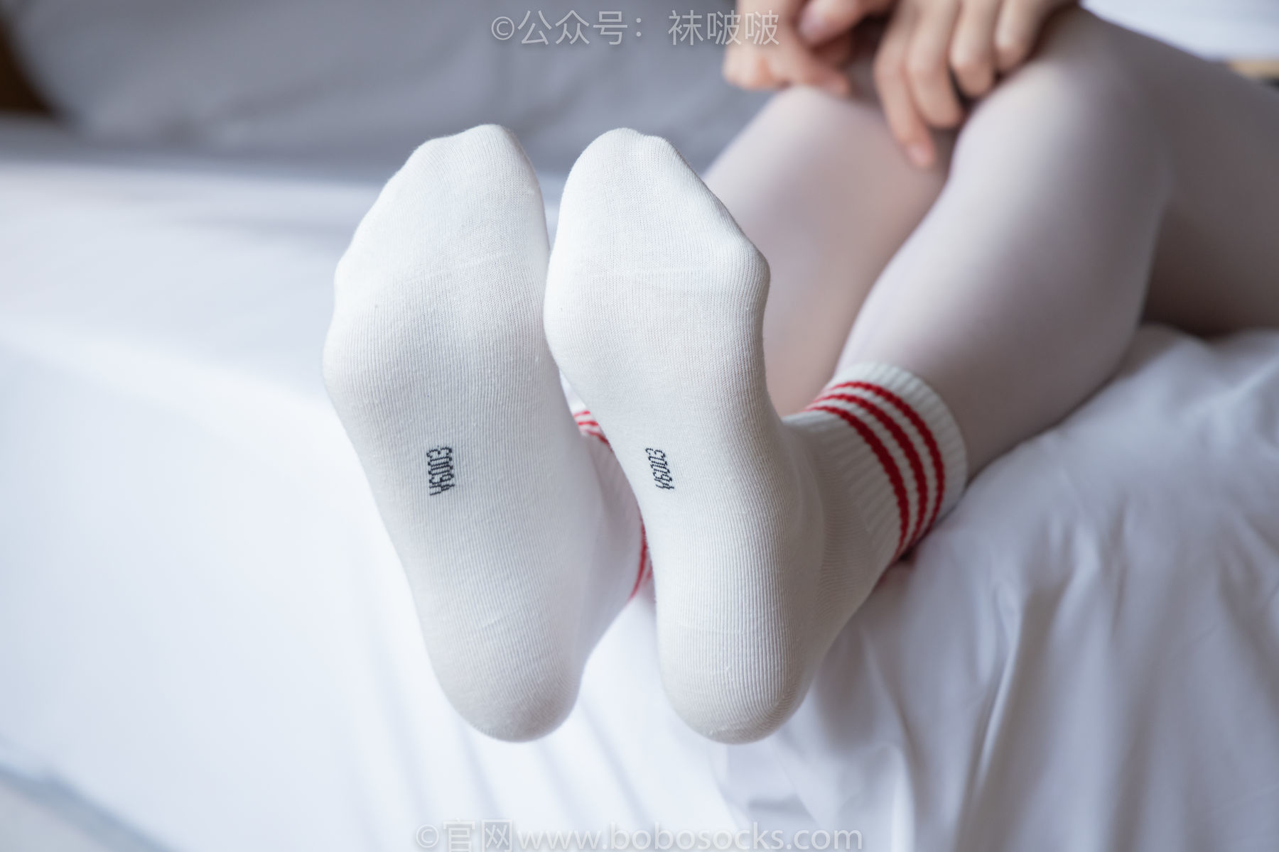 图片[46]-BoBoSocks袜啵啵 积分限定作品004 熊熊-板鞋、白棉袜、白丝[139P]-六色网