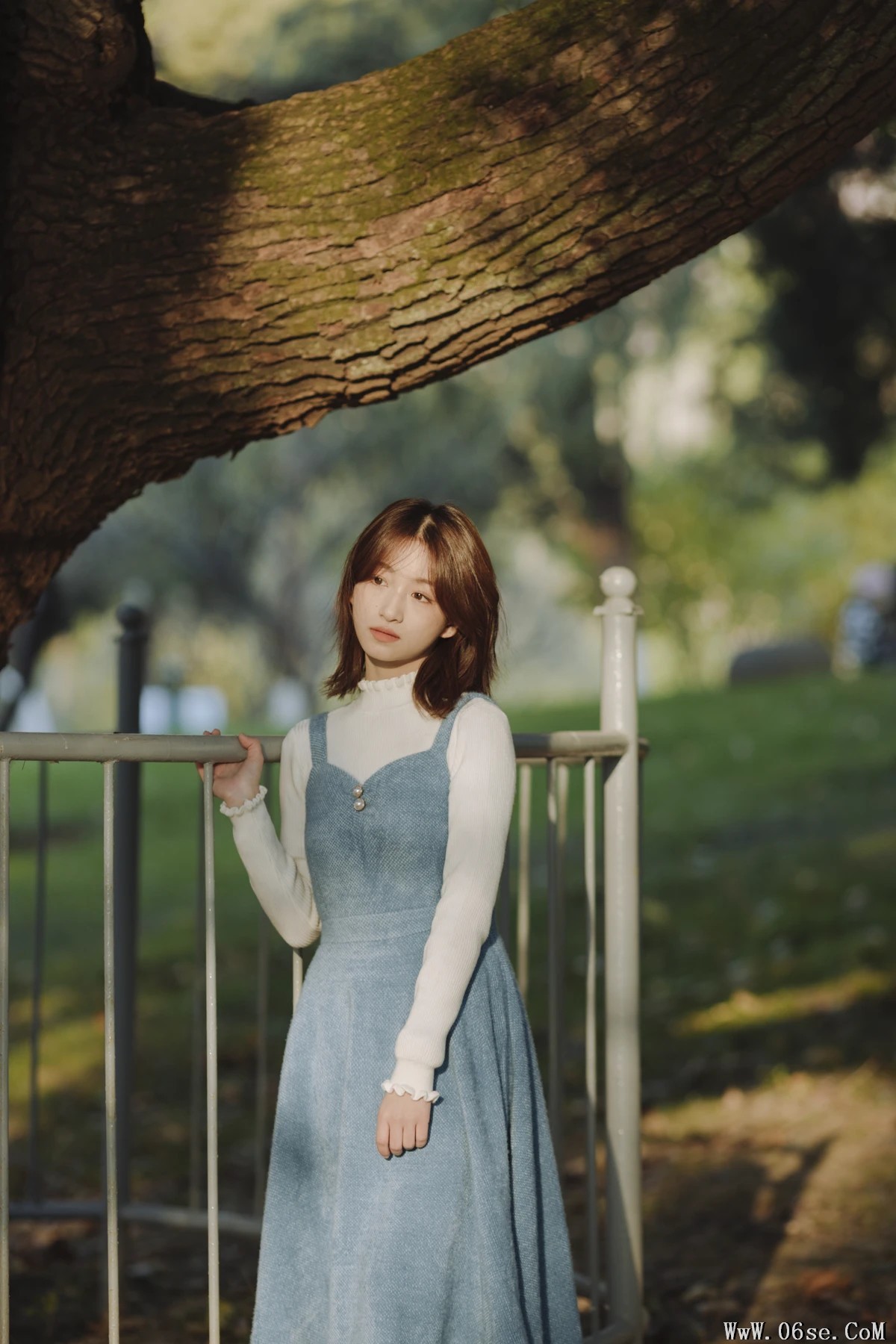 图片[23]-[艺图语]2023.01.12 Vol.2899 树林暗光 [29P]-六色网