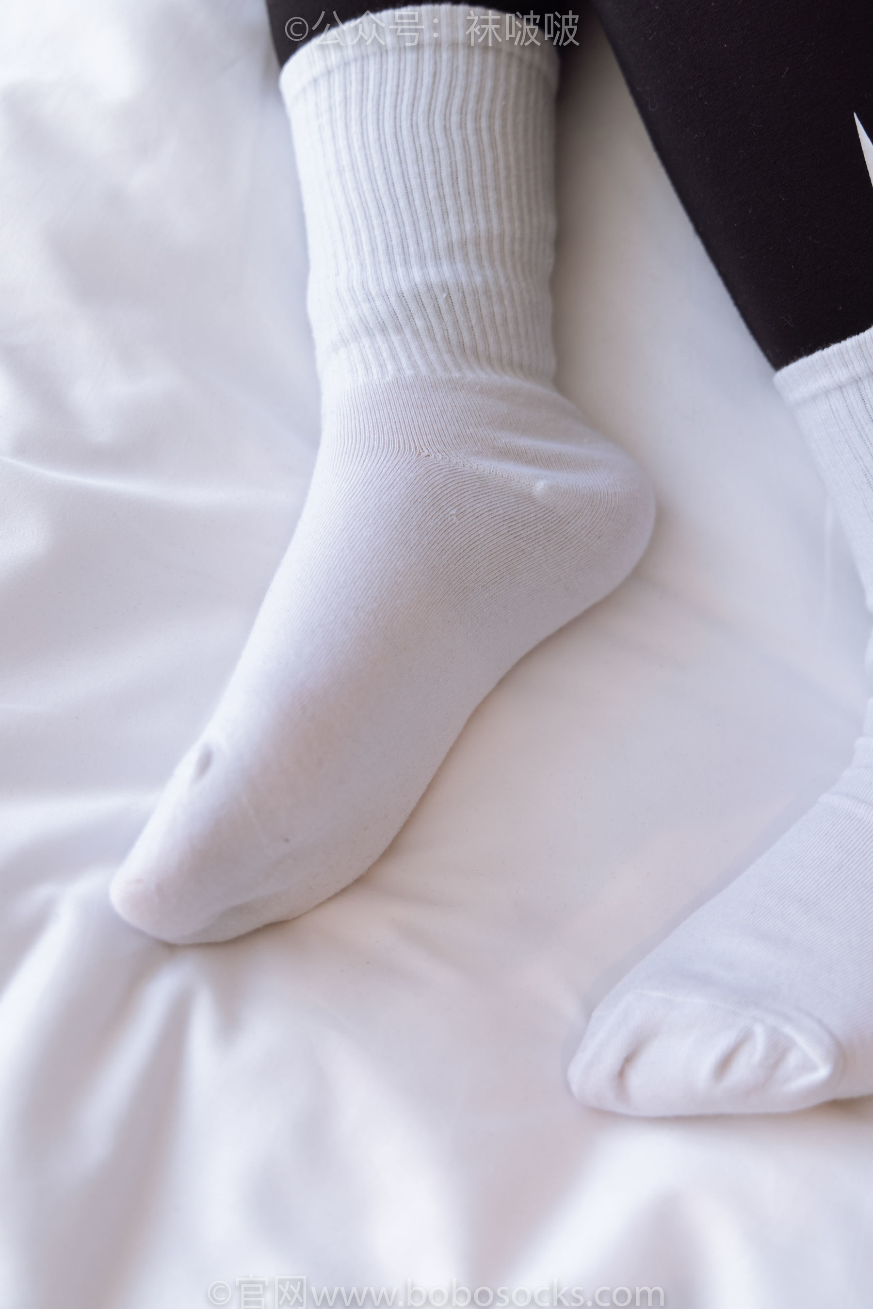 图片[39]-BoBoSocks袜啵啵 No.059 砂糖-AJ板鞋、白棉袜、裸足[142P]-六色网