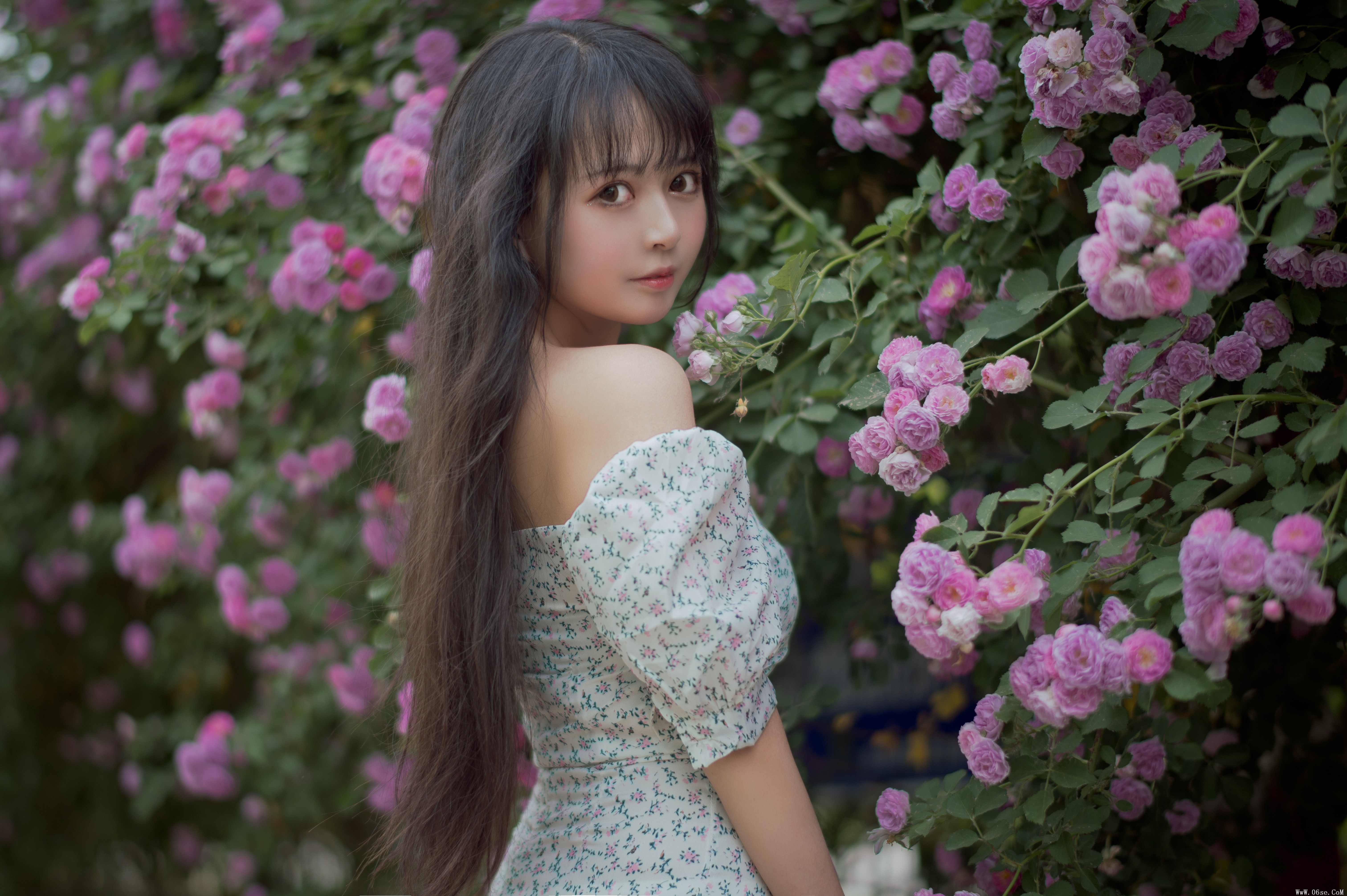 图片[21]-喵糖映画 VOL.338 蔷薇少女[24P／257MB]-六色网