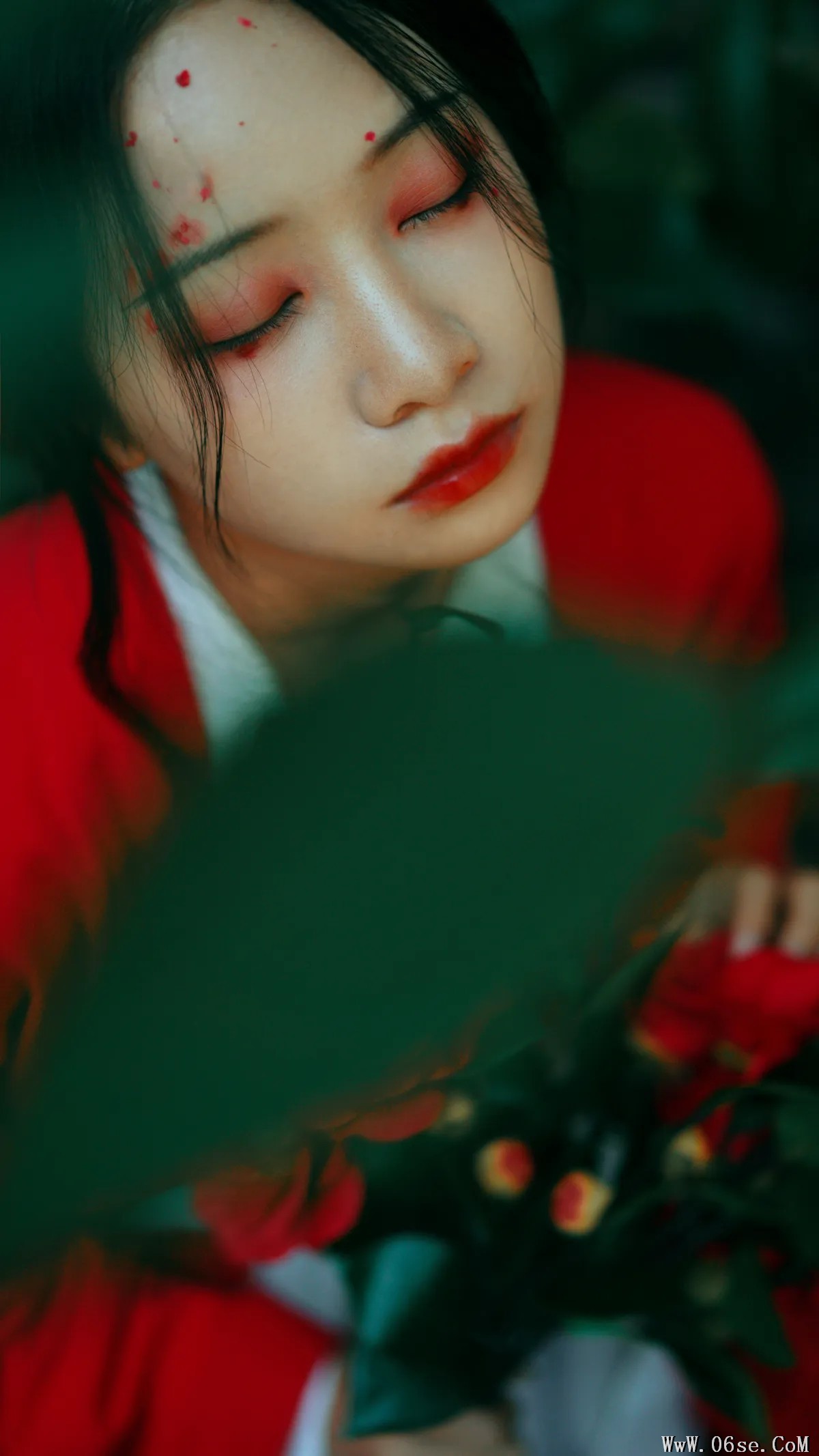 图片[10]-[艺图语]2022.12.15 Vol.2685 – 山茶花 [22P]-六色网