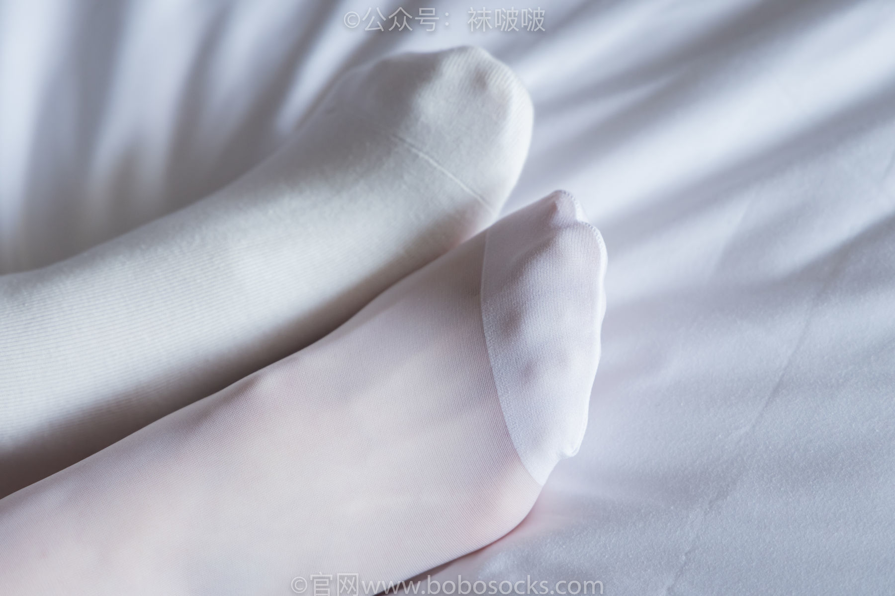 图片[88]-BoBoSocks袜啵啵 积分限定作品004 熊熊-板鞋、白棉袜、白丝[139P]-六色网