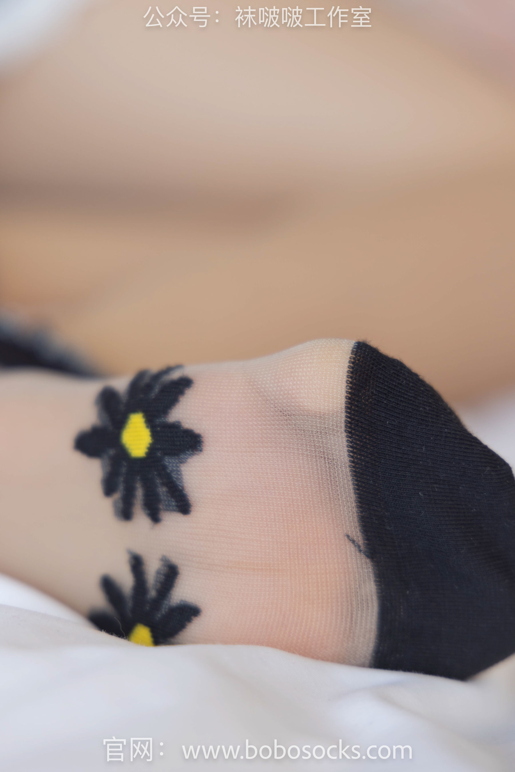 图片[68]-BoBoSocks袜啵啵 No.097 稚予-板鞋、玻璃丝短袜、肉丝[140P]-六色网