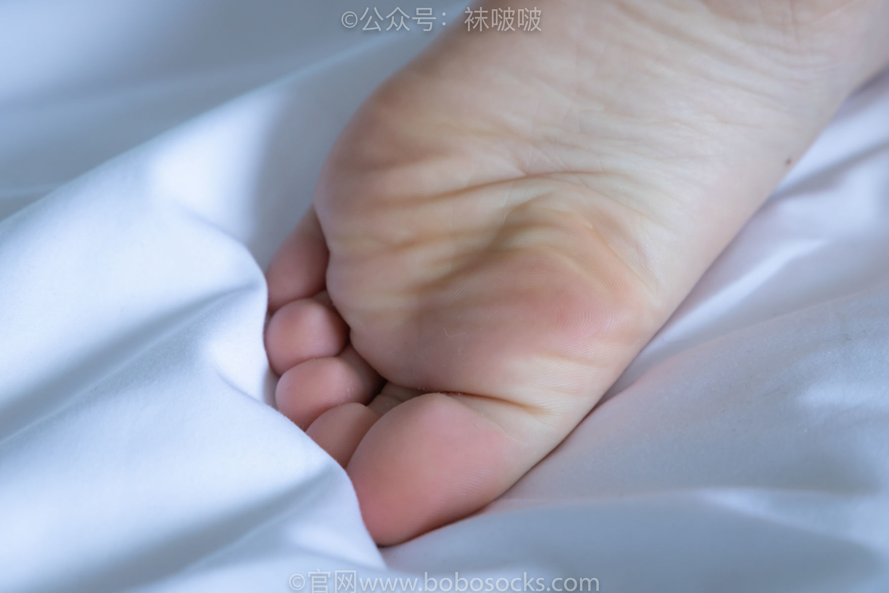 图片[107]-BoBoSocks袜啵啵 No.009 果冻-耐克板鞋、白棉袜、裸足[130P]-六色网