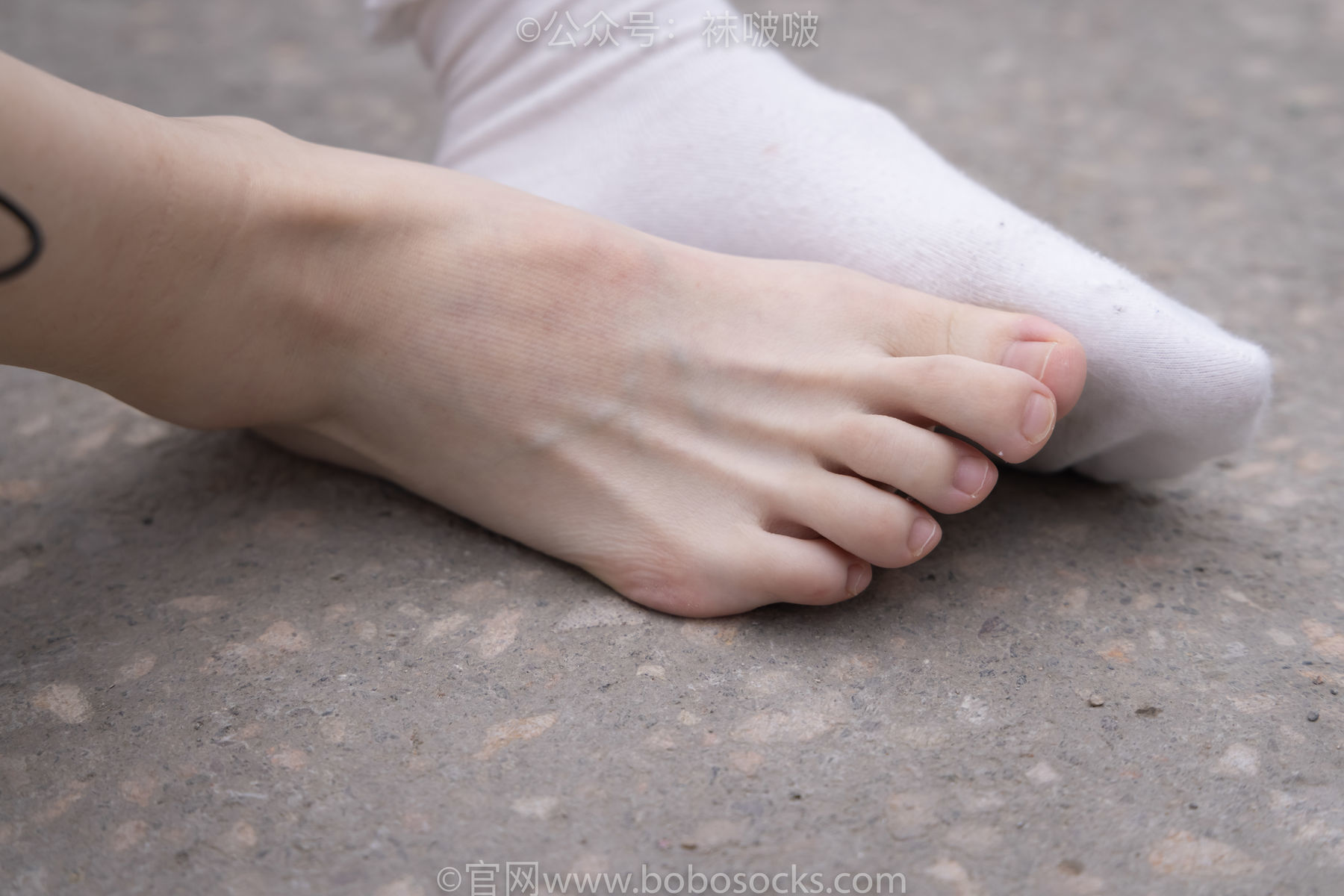 图片[111]-BoBoSocks袜啵啵 No.016 熊熊-斯凯奇运动鞋、棉袜、裸足[147P]-六色网