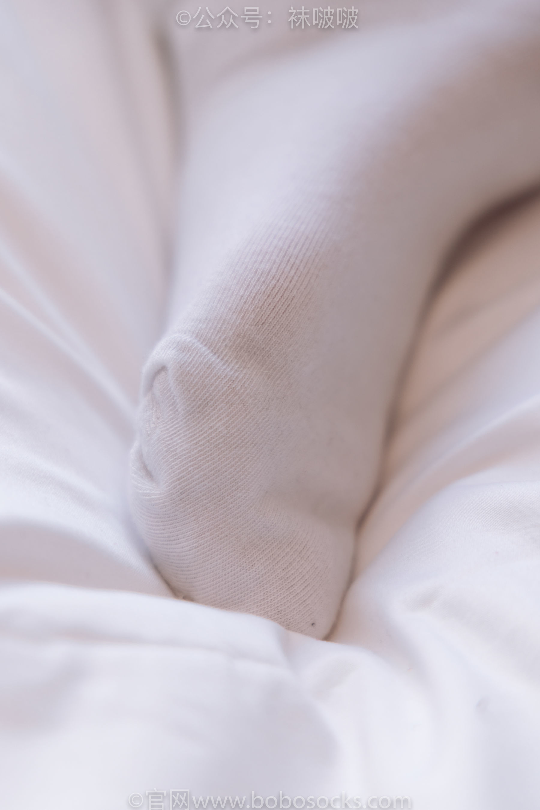 图片[63]-BoBoSocks袜啵啵 No.059 砂糖-AJ板鞋、白棉袜、裸足[142P]-六色网