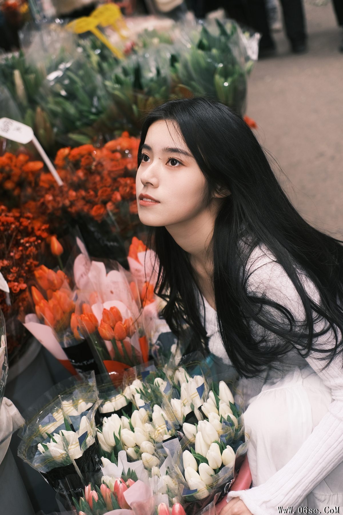 图片[22]-YiTuYu艺图语 Vol.3696 Jing Jing Jing[26P]-六色网