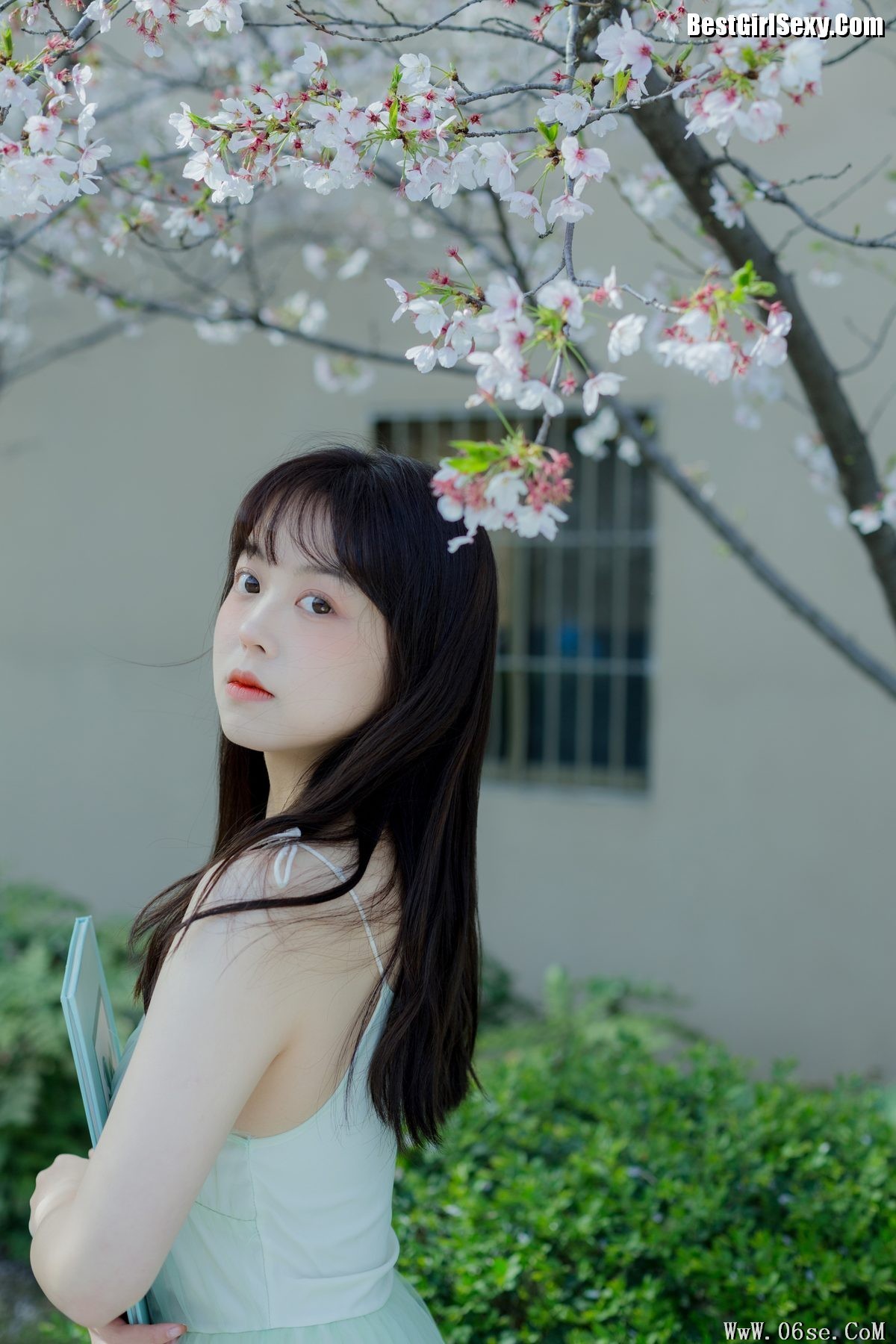 图片[14]-YiTuYu艺图语 Vol.4075 Ha Ji Ma Hua[34P]-六色网