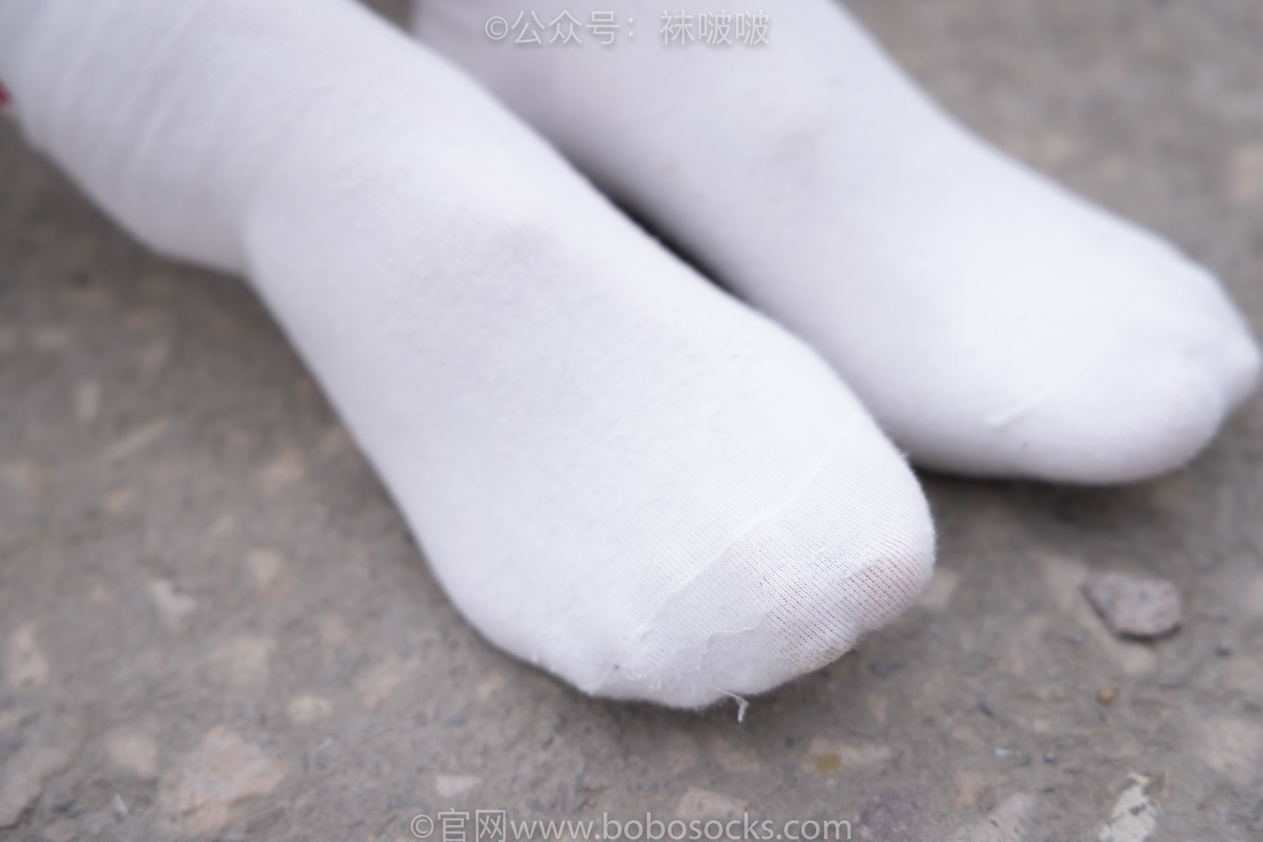 图片[77]-BoBoSocks袜啵啵 No.016 熊熊-斯凯奇运动鞋、棉袜、裸足[147P]-六色网