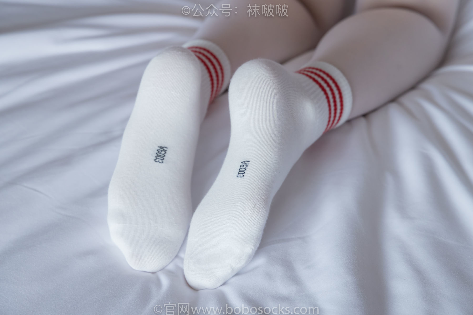 图片[73]-BoBoSocks袜啵啵 积分限定作品004 熊熊-板鞋、白棉袜、白丝[139P]-六色网