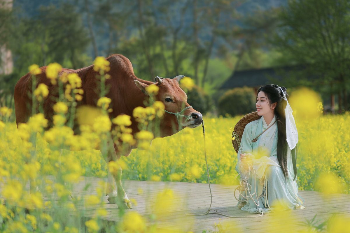 图片[17]-YiTuYu艺图语 Vol.3659 Xiao Qing Han Ya[23P]-六色网