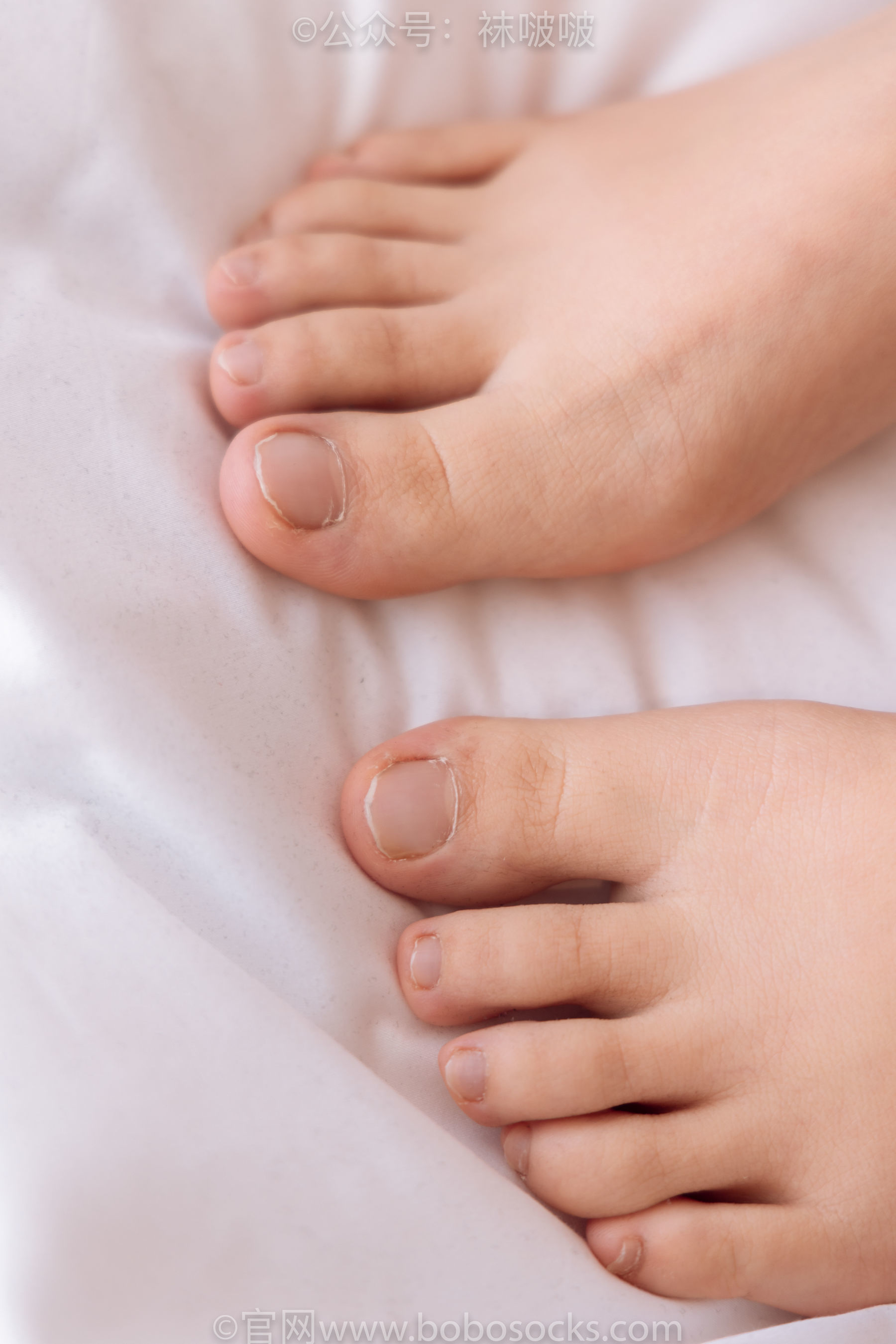 图片[108]-BoBoSocks袜啵啵 No.059 砂糖-AJ板鞋、白棉袜、裸足[142P]-六色网
