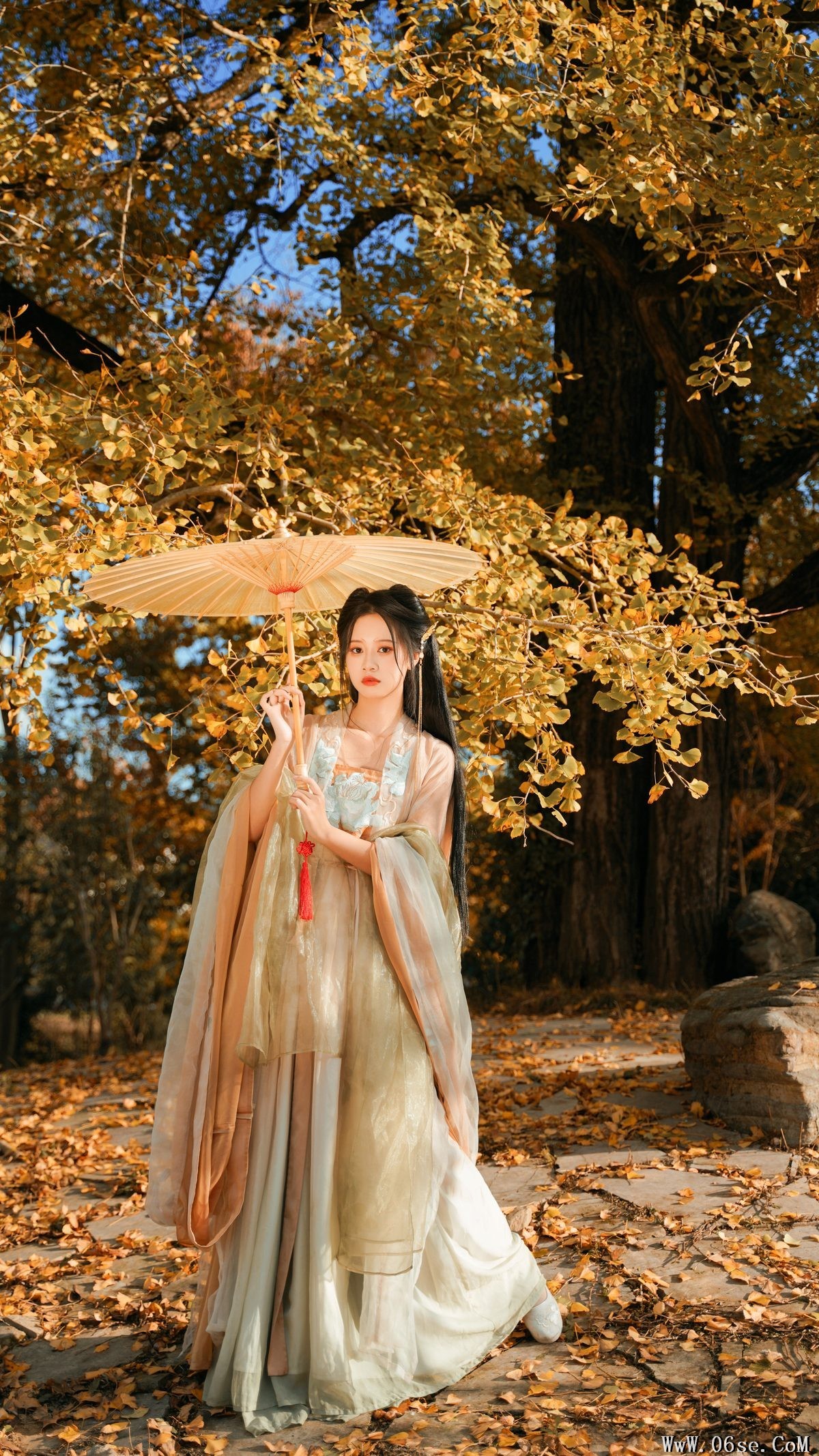 图片[22]-YiTuYu艺图语 Vol.3202 Wang Wang Xiao Xiao Shu[39P]-六色网