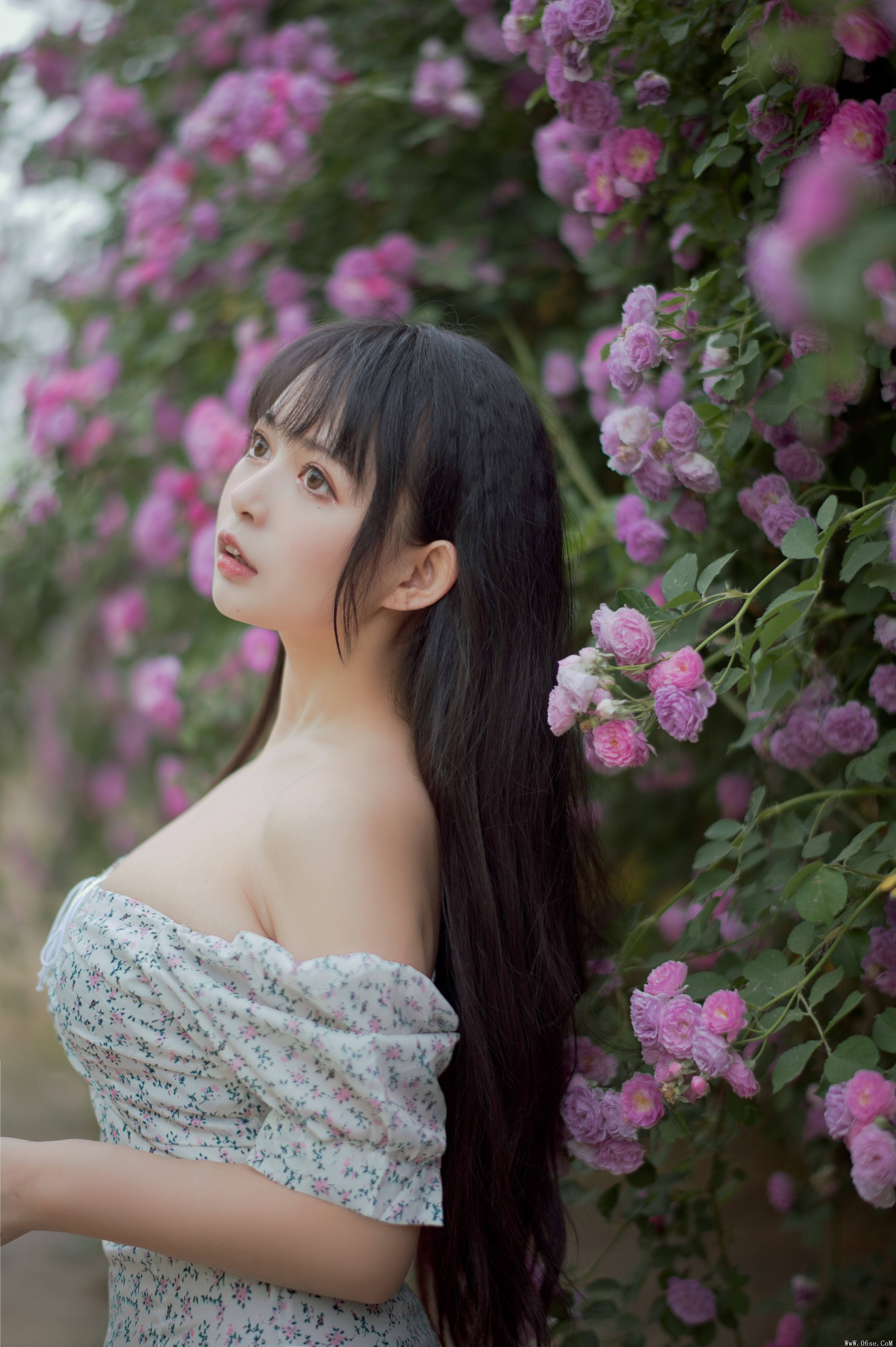 图片[9]-喵糖映画 VOL.338 蔷薇少女[24P／257MB]-六色网