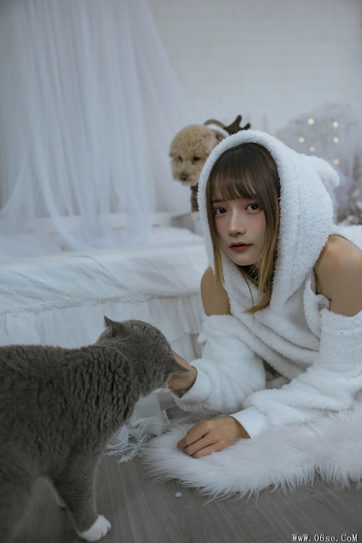 图片[16]-[艺图语]2022.12.17 Vol.2702 – 温馨少女与宠物们 [24P]-六色网
