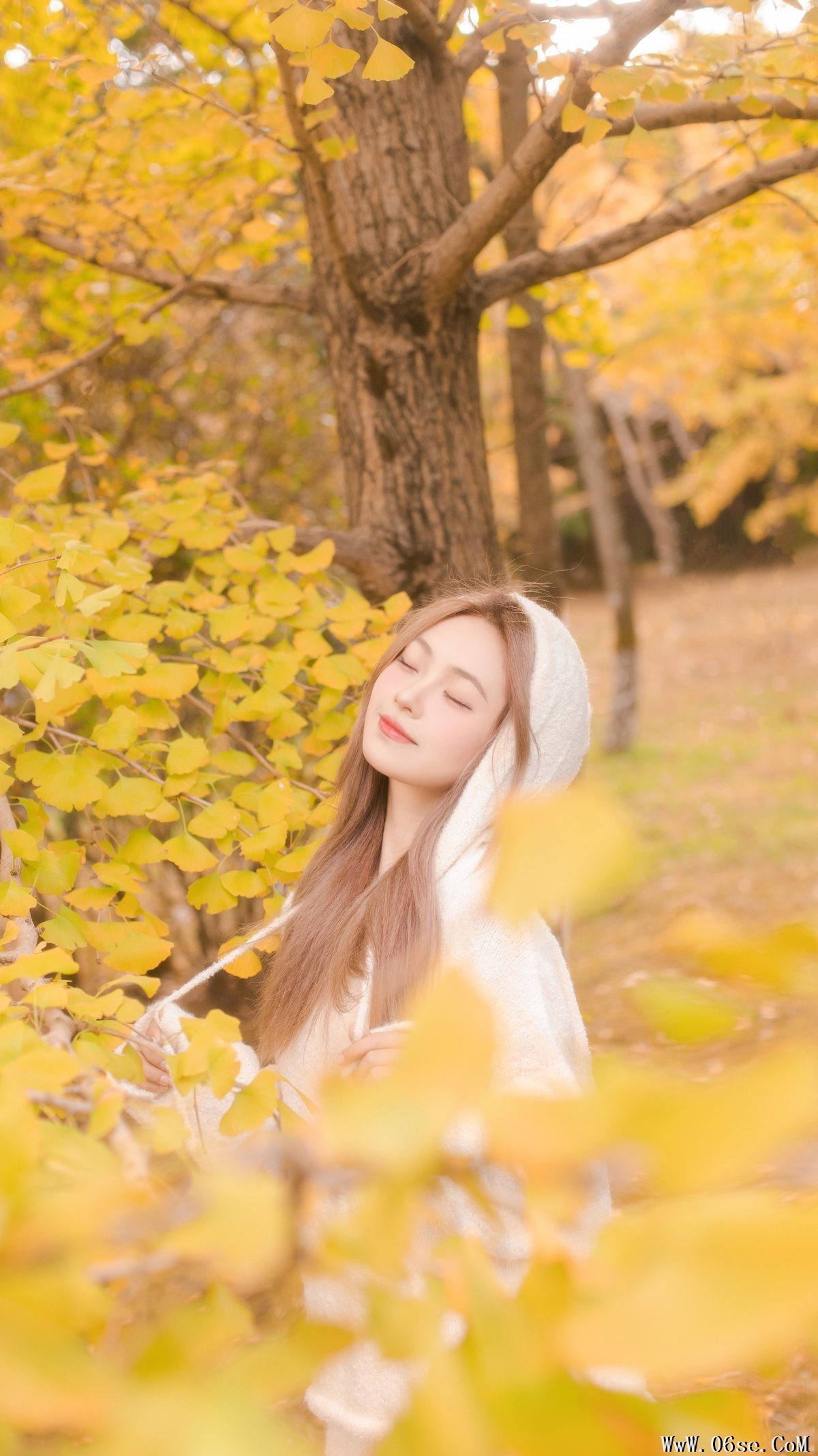 图片[6]-YiTuYu艺图语 Vol.5840 Gao Li Dai[34P]-六色网