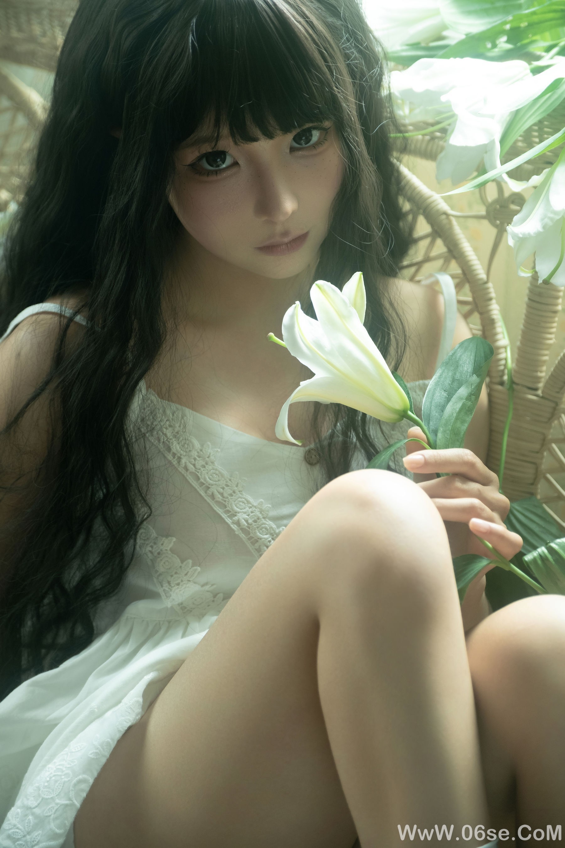 动漫博主蠢沫沫 - 白吊带[36P]-六色网