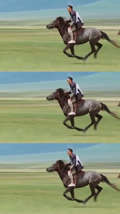 追星星的人窦骁骑马梦回燕洵