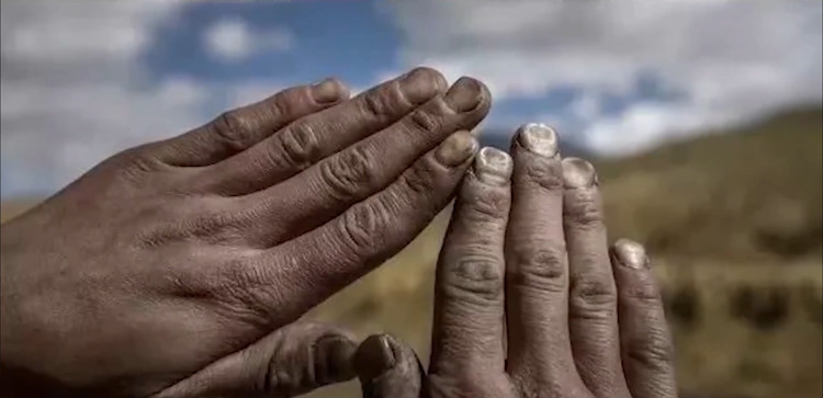  - 天边兄弟-王英涛、王世超