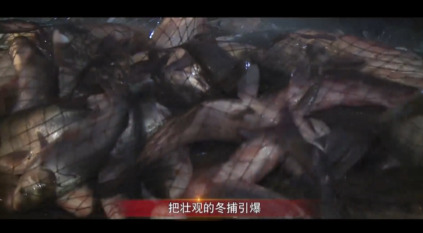  - 《卧龙湖锶鱼》张凯词，祝云英曲，梁开辉唱