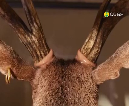  - Come Back For You Elephante