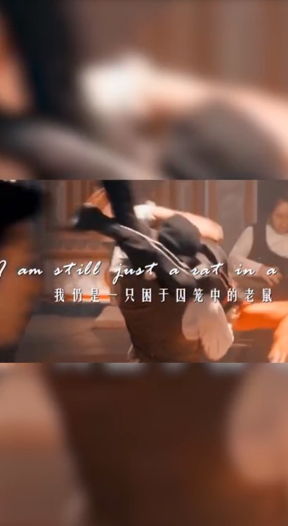 - 尽管我风流潇洒,我仍是一个跳梁小丑