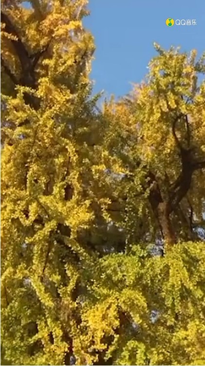  - Beautiful Girl 레게 강 같은 평화