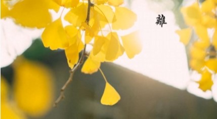  - 离人心上秋