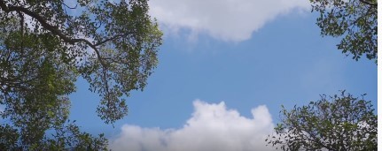  - 原创音乐《茉莉人家》》