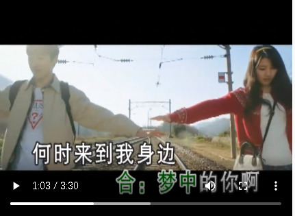 - 梦中的你 飘零的雨/雪姬